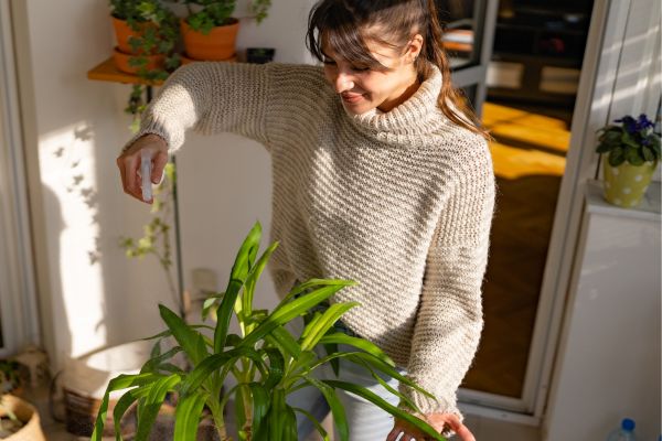 Choosing the Right Indoor Plants