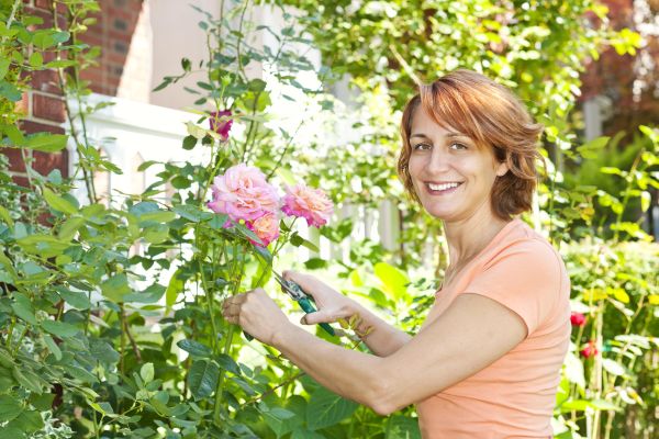 Regular Pruning and Grooming