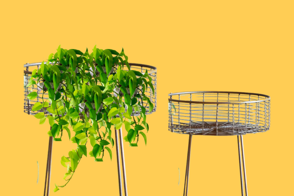 6. Basket Plant Stand