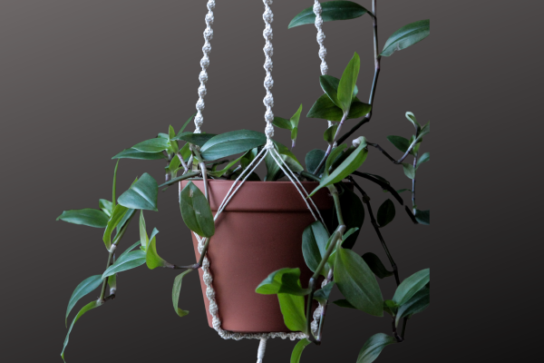 Top DIY Plant Stand Ideas: Create Your Perfect Green Display:DIY hanging plants 