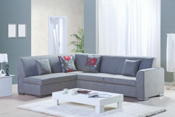 Two sofas angled toward each other in a living room, creating a visually dynamic and inviting setup.